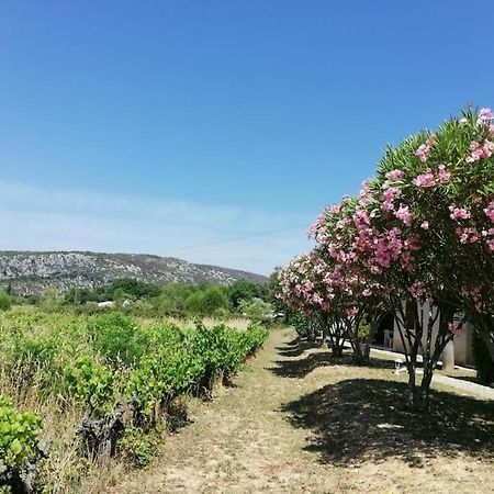 Maison A Louer En Ardeche Du Sud Saint-Martin-dʼArdèche Buitenkant foto
